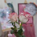 ویژه برنامه میلاد حضرت زینب(س)